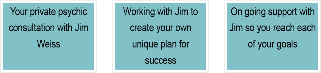 System For Success by Jim Weiss